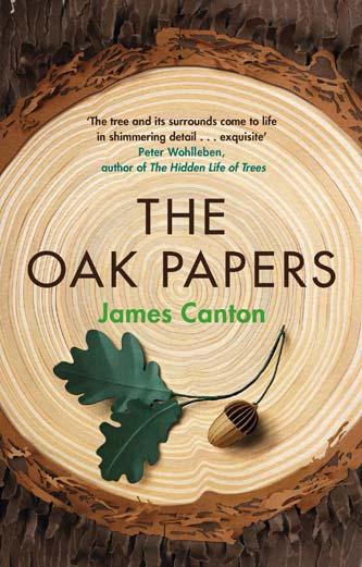 The Oak Papers by James Canton - front cover